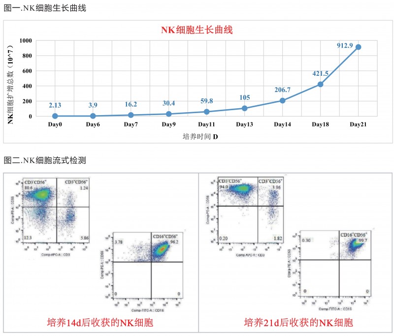 NK 细胞无血清培养试剂盒