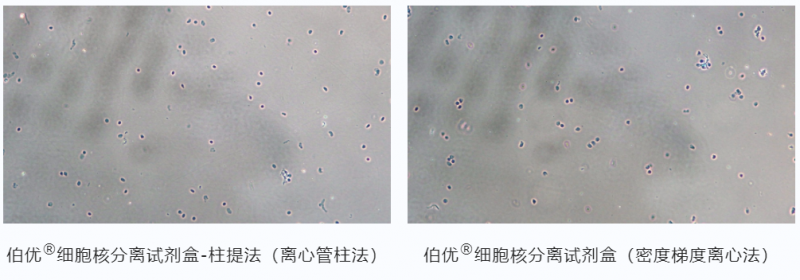 试剂对比 1