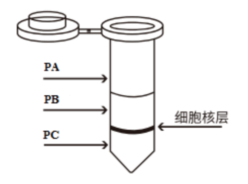 QQ 图片 20230606112916