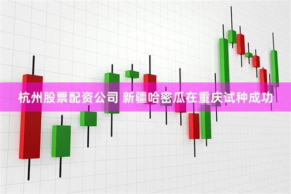 杭州股票配资公司 新疆哈密瓜在重庆试种成功