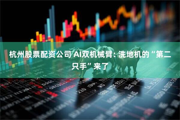 杭州股票配资公司 AI双机械臂: 洗地机的“第二只手”来了
