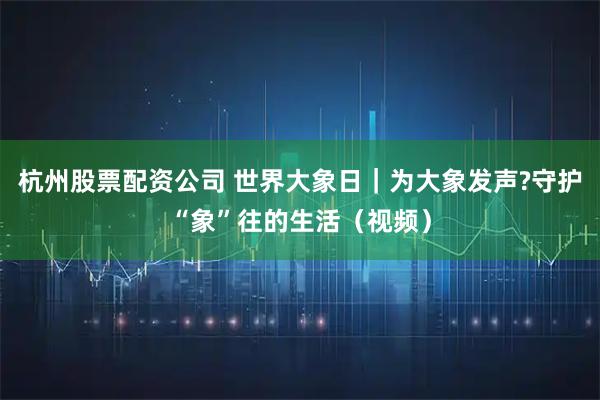 杭州股票配资公司 世界大象日｜为大象发声?守护“象”往的生活（视频）
